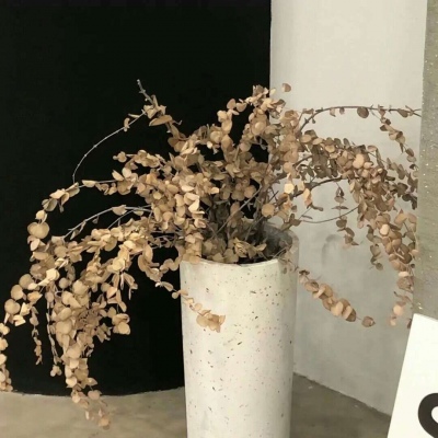 Furry插画氛围技巧兽圈社群